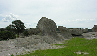 "Las Ranas"