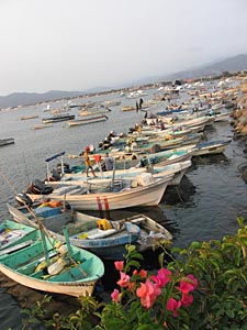 port de Manzanillo, (&eacute;tat de Colima, Mexique)