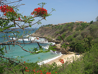 plage Carrizalillo (Puerto Escondido, &eacute;tat d'Oaxaca, Mexique)