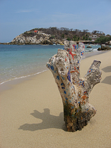 plage San Augustin (&eacute;tat d'Oaxaca, Mexique)