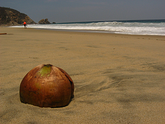 la Ventanilla