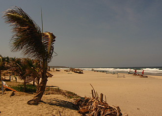 Plage Zicatela (Puerto Escondido, &eacute;tat d'Oaxaca, Mexique)