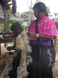 effilochage d'une peau de mouton