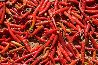 rojo chile