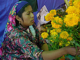 beau costume d'indienne du Mexique (r&eacute;gion d'Oaxaca)