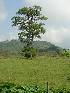 vue sur la r&eacute;serve de los Tuxtlas