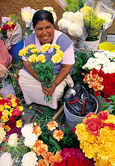 march&eacute; de la r&eacute;gion de Guanajauto