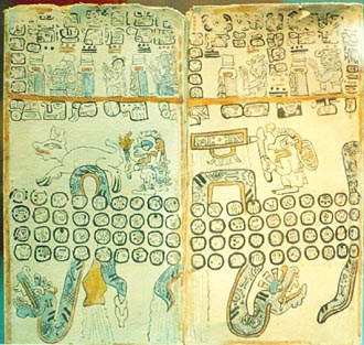 codex maya