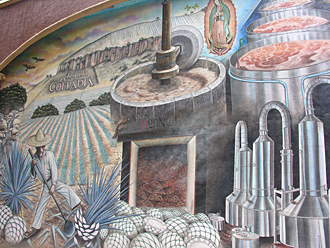 distillerie de Tequila avec champ d'agaves dans la propri&eacute;t&eacute;
