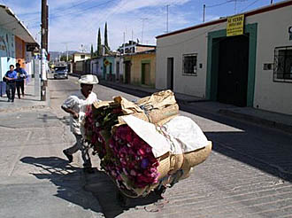 marchand se rendant &agrave; son stand du march&eacute; &agrave; Oaxaca (Mexique)
