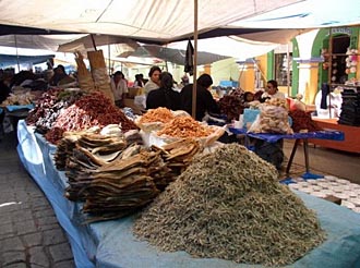 &eacute;talage de poissons s&eacute;ch&eacute;es &agrave; Oaxaca (&eacute;tat d'Oaxaca, Mexique)