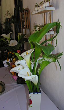 concours de fleurs le dimanche des Rameaux