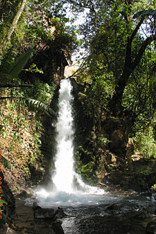 parc national Barranca del Cupatitzio