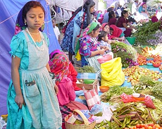 march&eacute; oaxacan (&eacute;tat d'Oaxaca, Mexique)