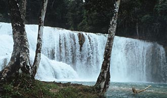 les chutes d'Agua Azul (Chiapas au Mexique)