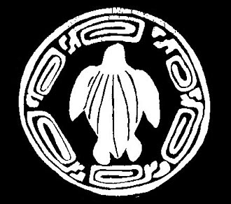 logo avec la tortue est l'embl&eacute;me des Comc&aacute;ac