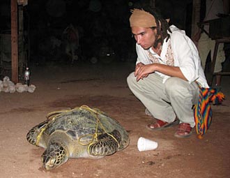 Une tortue de mer, embl&egrave;me et sous protection des Seris, a &eacute;t&eacute; p&ecirc;ch&eacute;e. Elle sera sacrifi&eacute;e le 1er juillet, selon leurs rites, et pr&eacute;par&eacute;e selon leur tradition afin que tout le village et les invit&eacute;s la mangent. 