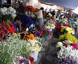 march&eacute; aux fleurs de Cuetzal&aacute;n (&eacute;tat de Puebla, Mexique)