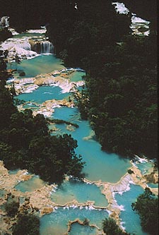 les piscines naturelles d'Agua Azul (au sud de Palenque) 