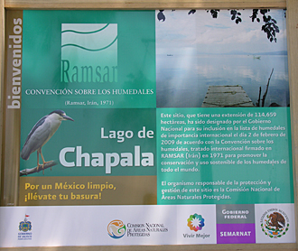 pour la protection du lac Chapala, (Jalisco, Mexique)