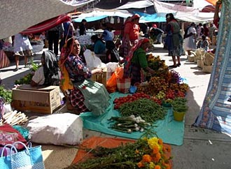 march&eacute; dans la r&eacute;gion d'Oaxaca