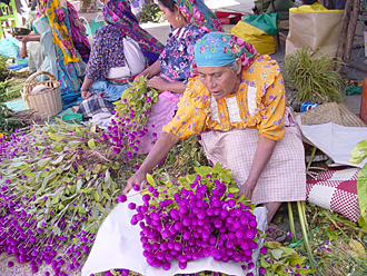 march&eacute; de Oaxaca (&eacute;tat d'Oaxaca, Mexique)