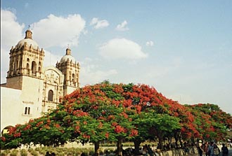 &eacute;glise de Santo Domingo &agrave; Oaxaca (Mexique)