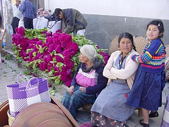 Indiennes au marché de fleurs d'Oaxaca au Mexique