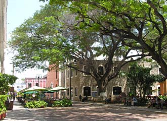 restaurant sur le c&ocirc;t&eacute; du Th&eacute;atre (M&eacute;rida,Mexique)